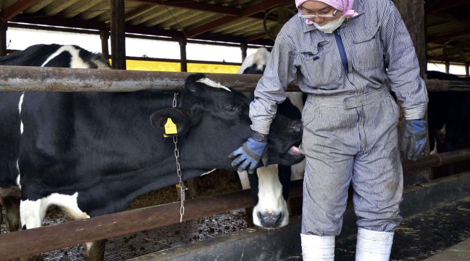 Gusano barrenador avanza en México y agrava pérdidas para el sector ganadero