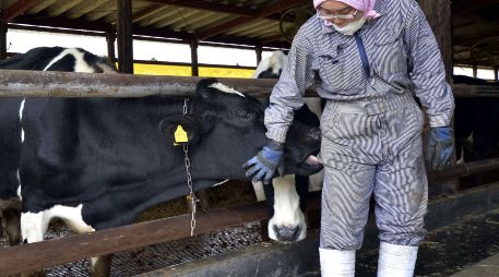 Gusano barrenador avanza en México y agrava pérdidas para el sector ganadero