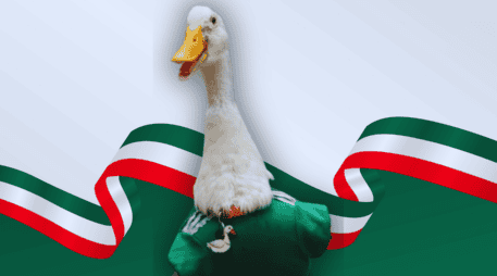 La FIFA dio a conocer el pasado 19 de junio que Merlín se convierte en un embajador oficial de la Ciudad de México durante esta Copa del Mundo 2026. ESPECIAL