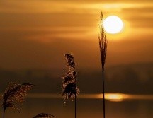 Este fenómeno astronómico se produce cuando el hemisferio norte recibe la mayor inclinación hacia el Sol. CANVA