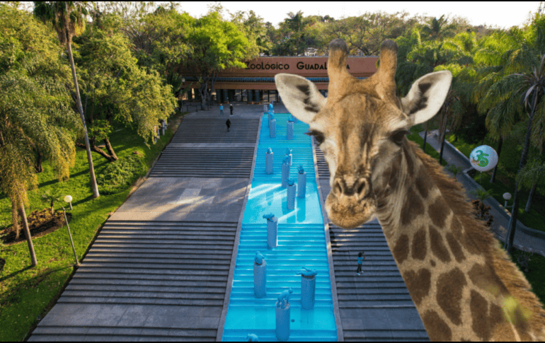 El Zoológico Guadalajara se encuentra muy cerca de la Barranca de Huentitán. ESPECIAL/ EL INFORMADOR/ ARCHIVO/ Unsplash