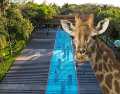El Zoológico Guadalajara se encuentra muy cerca de la Barranca de Huentitán. ESPECIAL/ EL INFORMADOR/ ARCHIVO/ Unsplash