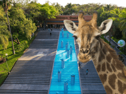 El Zoológico Guadalajara se encuentra muy cerca de la Barranca de Huentitán. ESPECIAL/ EL INFORMADOR/ ARCHIVO/ Unsplash