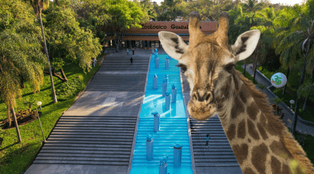 El Zoológico Guadalajara se encuentra muy cerca de la Barranca de Huentitán. ESPECIAL/ EL INFORMADOR/ ARCHIVO/ Unsplash