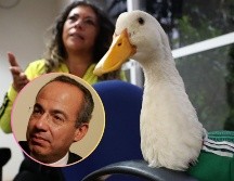 Merlín alcanzó notoriedad el 11 de junio, durante la inauguración del Mundial en el Estadio Ciudad de México. EFE / SUN / ARCHIVO
