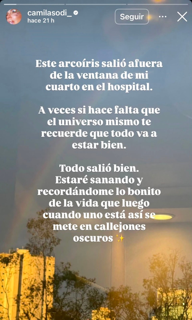 &nbsp;ESPECIAL / IG / @camilasodi_