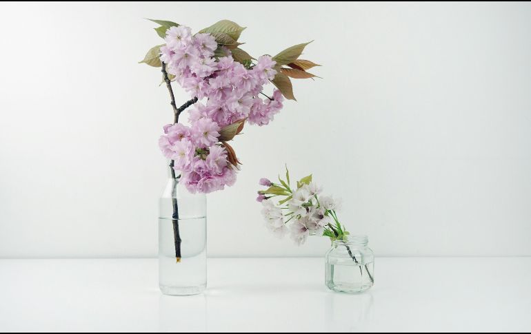 Conoce las técnicas infalibles y los trucos científicos que transformarán la manera en que se cuidan las flores, manteniéndolas frescas por semanas. Unsplash