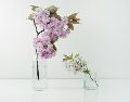 Conoce las técnicas infalibles y los trucos científicos que transformarán la manera en que se cuidan las flores, manteniéndolas frescas por semanas. Unsplash