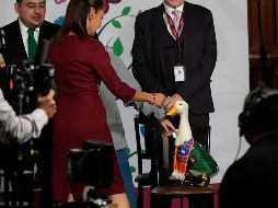 Aunque Merlín causó furor con su aparición al lado de Claudia Sheinbaum, las críticas no faltaron. AP/M. Ugarte