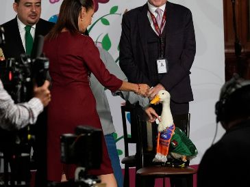 Aunque Merlín causó furor con su aparición al lado de Claudia Sheinbaum, las críticas no faltaron. AP/M. Ugarte