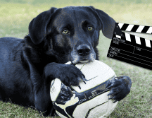 Estas historias representan una época particular del cine familiar, cuando los estudios apostaban por relatos optimistas. CANVA / ESPECIAL