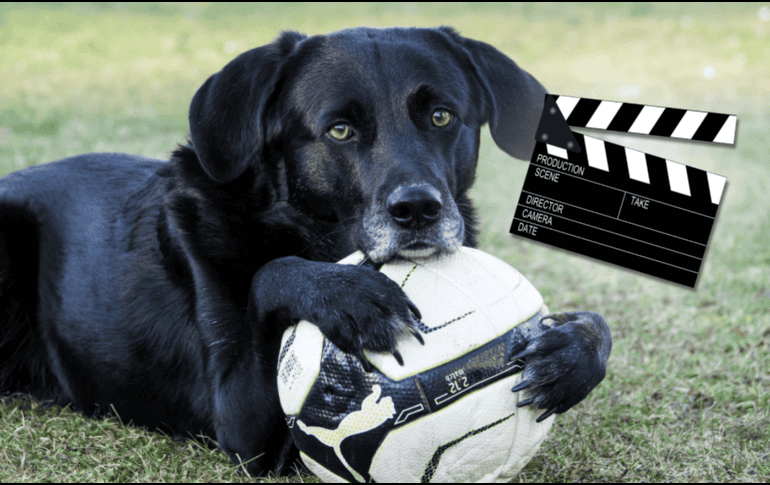Estas historias representan una época particular del cine familiar, cuando los estudios apostaban por relatos optimistas. CANVA / ESPECIAL