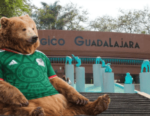 Si planeas aprovechar esta increíble promoción, te recordamos que el Zoológico Guadalajara se encuentra muy cerca de la Barranca de Huentitán. ESPECIAL/ EL INFORMADOR/ ARCHIVO/ Unsplash