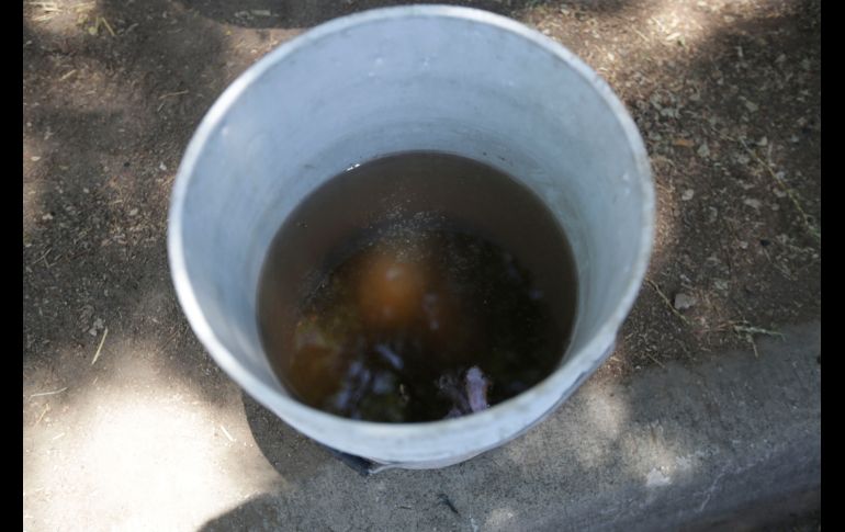 Los reportes por mala calidad del agua ante el SIAPA se incrementaron durante los primeros meses de 2026. EL INFORMADOR/ARCHIVO