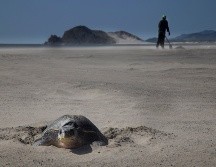 Los habitantes de La Ventosa se lamentaron por no poder pescar debido a la presencia de manchas negras en la zona. EFE/ARCHIVO