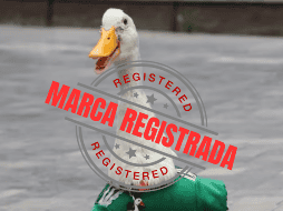Pato Merlín, que en los últimos meses ganó notoriedad en redes sociales, ya cuenta con un registro ante el Instituto Mexicano de la Propiedad Industrial (IMPI). ESPECIAL