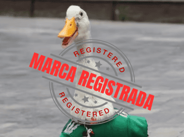 Pato Merlín, que en los últimos meses ganó notoriedad en redes sociales, ya cuenta con un registro ante el Instituto Mexicano de la Propiedad Industrial (IMPI). ESPECIAL