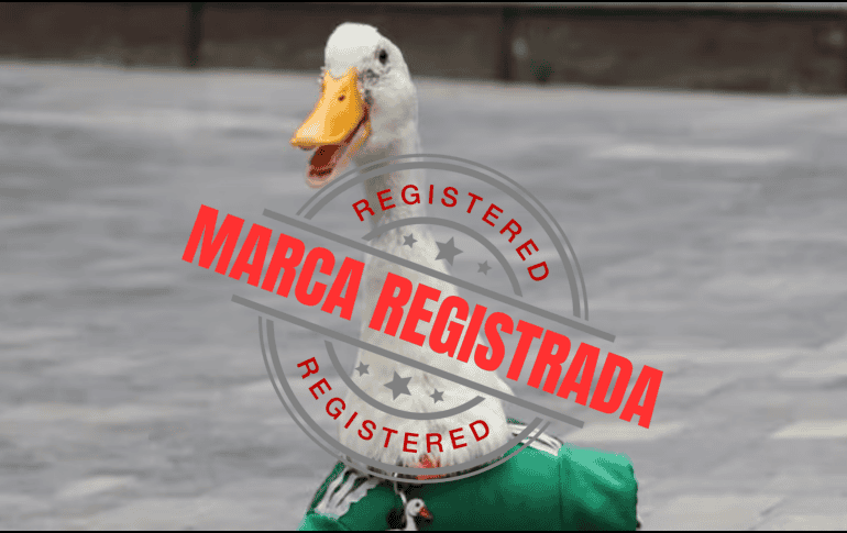 Pato Merlín, que en los últimos meses ganó notoriedad en redes sociales, ya cuenta con un registro ante el Instituto Mexicano de la Propiedad Industrial (IMPI). ESPECIAL