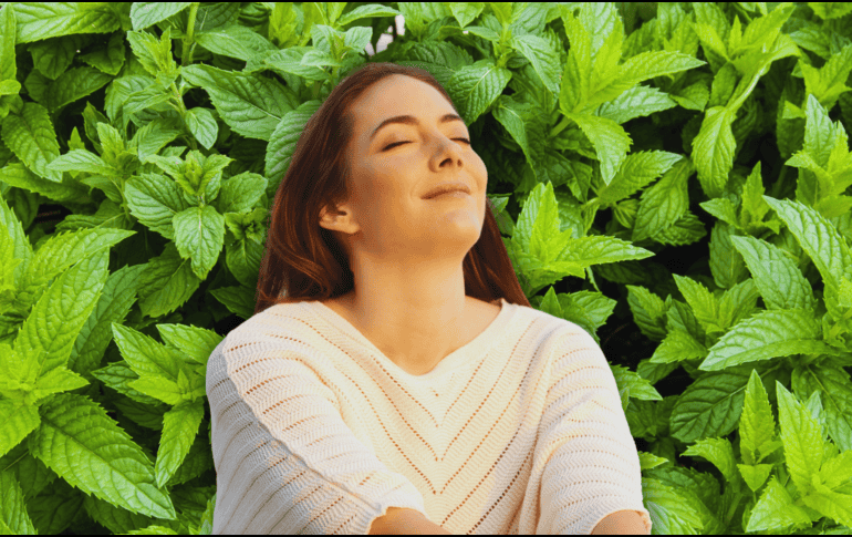 Desde calmar el estómago hasta despejar la mente, masticar yerbabuena demuestra que la naturaleza ofrece excelentes soluciones preventivas. ESPECIAL / CANVA