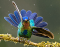 Los seres humanos han buscado significado en la naturaleza desde tiempos remotos. CANVA