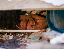 Una de las personas atrapadas entre los escombros de uno de los edificios afectados por los terremotos, en la localidad de Catia La Mar, en el estado costero de La Guaira, Venezuela este jueves. EFE/ R. Pena
