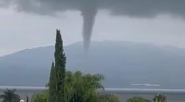 Culebra de agua sorprende a habitantes de Chapala