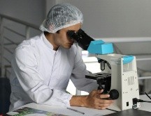 Cada vez hay más estudios e investigaciones sobre enfermedades como el cáncer. UNSPLASH / L. VASQUES