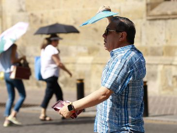 La relación entre temperatura y precipitación puede intensificar episodios de calor extremo en temporadas secas. EL INFORMADOR/ARCHIVO