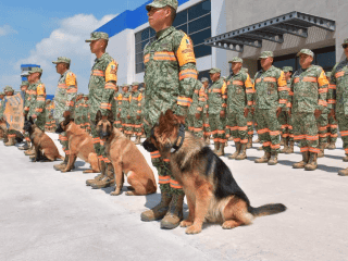 También llegó a Venezuela el mayor general del Cuerpo de Marines de EU, Kevin J. Jarrard, según la Embajada del país del norte en Caracas. X / @Defensamx1