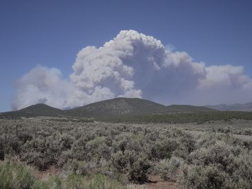Una columna de humo se eleva desde el incendio de Cottonwood, cerca de Beaver, Utah. AP/T. O