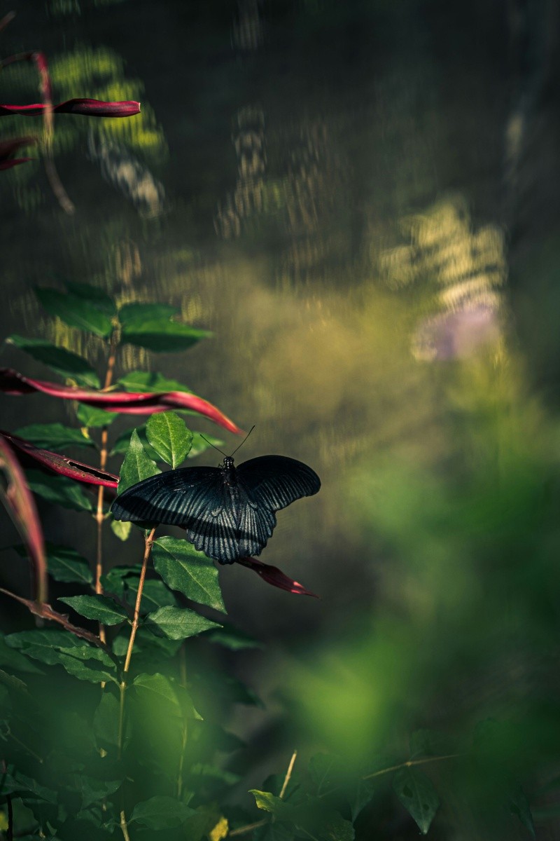 UNSPLASH&nbsp;