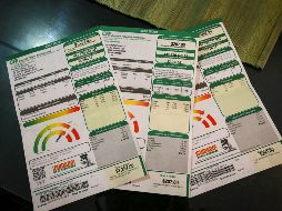 Ahorrar en tu recibo de luz es fácil cuando sabes interpretar los parámetros y gráficos de la CFE. EL INFORMADOR/ARCHIVO