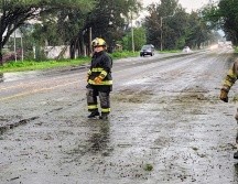 Protección Civil y Bomberos de Tlajomulco se encargó de retirar los árboles caídos y restablecer la circulación vial. CORTESÍA