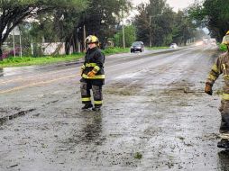 Protección Civil y Bomberos de Tlajomulco se encargó de retirar los árboles caídos y restablecer la circulación vial. CORTESÍA