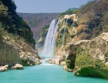 El corazón verde de San Luis Potosí