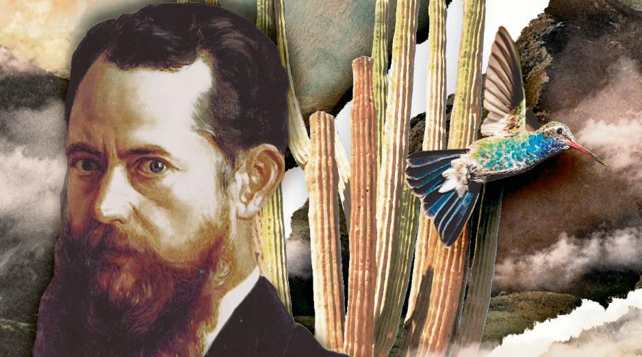 José María Velasco (1840-1912), pintor y miembro de la Sociedad Mexicana de Historia. Natural,CORTESÍA/@caracolsaurio_art