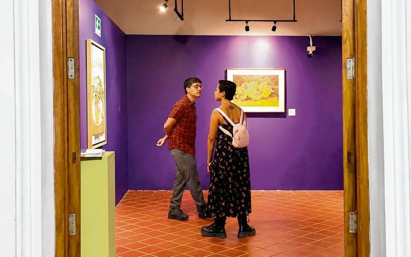 La exhibición se encuentra en la Casa del Arte del Centro Universitario del Sur, en Ciudad Guzmán. CORTESÍA&nbsp;