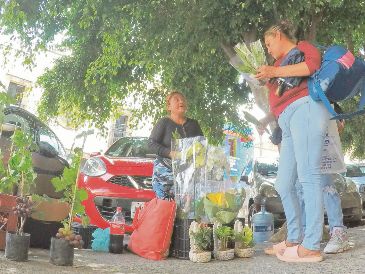 El comercio ambulante y los micronegocios forman parte del sector informal, uno de los principales motores del crecimiento económico del país. EL INFORMADOR