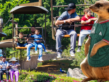 Si planeas aprovechar esta increíble promoción, te recordamos que el Zoológico Guadalajara se encuentra muy cerca de la Barranca de Huentitán. ESPECIAL/ EL INFORMADOR/ ARCHIVO/ Pexels