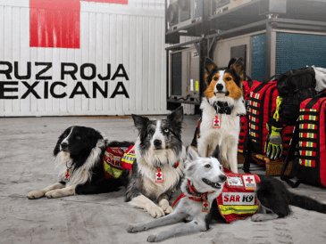 Además del equipo de rescate, la Presidenta Claudia Sheinbaum anunció que el Gobierno de México analiza el envío de más ayuda humanitaria a Venezuela. CORTESÍA/ Cruz Roja Mexicana Sede Nacional.