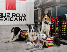 Además del equipo de rescate, la Presidenta Claudia Sheinbaum anunció que el Gobierno de México analiza el envío de más ayuda humanitaria a Venezuela. CORTESÍA/ Cruz Roja Mexicana Sede Nacional.