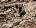 Un hombre se sienta entre los escombros dejados por los sismos en La Guaira, Venezuela, el lunes 29 de junio de 2026. AP/M. Delacroix