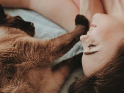 El vínculo con un perro o un gato no busca llenar un vacío, sino expresar la capacidad de cuidar y generar relaciones afectivas con otro ser sintiente. UNSPLASH