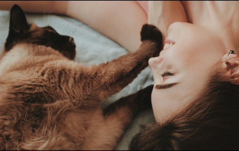El vínculo con un perro o un gato no busca llenar un vacío, sino expresar la capacidad de cuidar y generar relaciones afectivas con otro ser sintiente. UNSPLASH