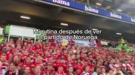 VIKINGO