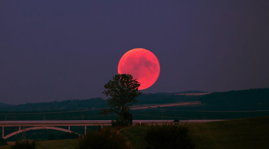 La Luna de Ciervo iluminará el firmamento proximamente el cielo. UNSPLASH / R. WIEDEMANN
