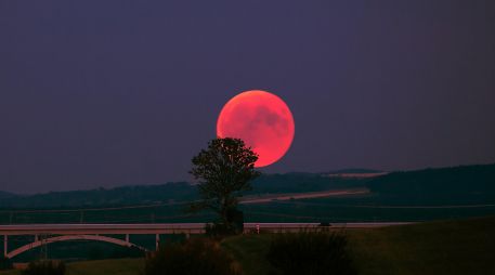 La Luna de Ciervo iluminará el firmamento proximamente el cielo. UNSPLASH / R. WIEDEMANN