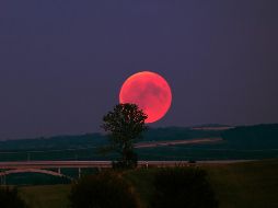 La Luna de Ciervo iluminará el firmamento proximamente el cielo. UNSPLASH / R. WIEDEMANN