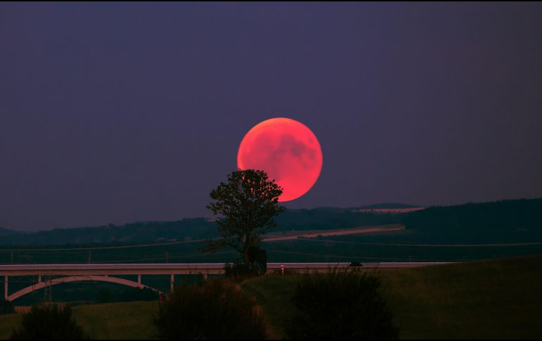 La Luna de Ciervo iluminará el firmamento proximamente el cielo. UNSPLASH / R. WIEDEMANN