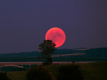 La Luna de Ciervo iluminará el firmamento proximamente el cielo. UNSPLASH / R. WIEDEMANN